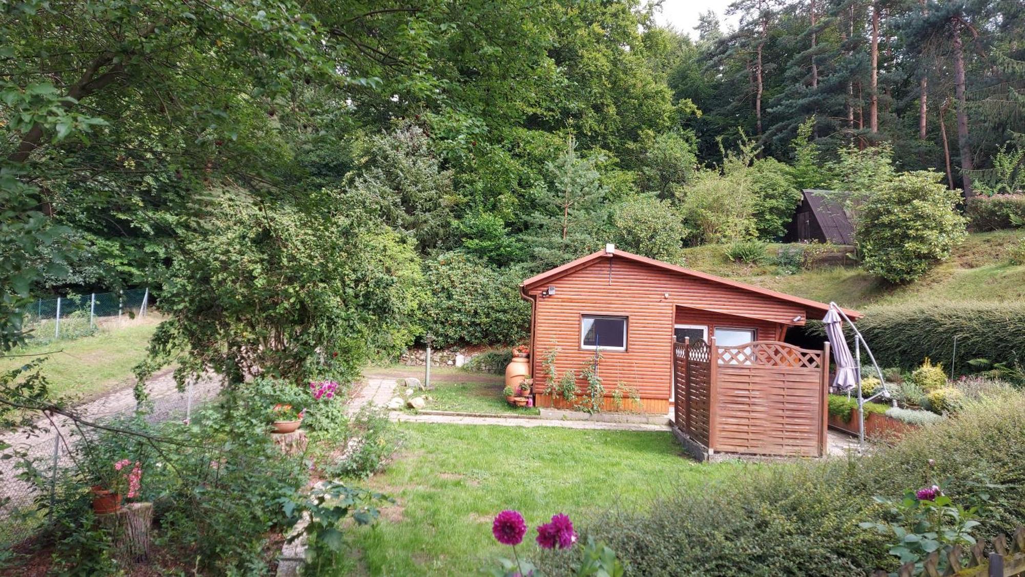 Вилла Ferienhaus In Geesthacht-Tesperhude Direkt Am Waldrand Экстерьер фото