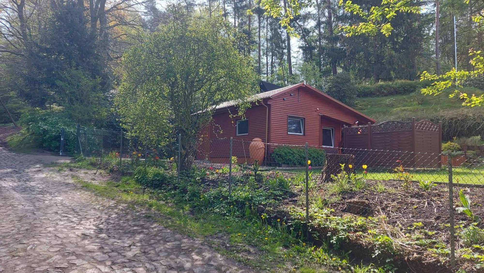 Вилла Ferienhaus In Geesthacht-Tesperhude Direkt Am Waldrand Экстерьер фото